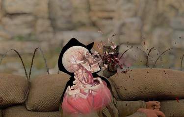Sniper Elite 3