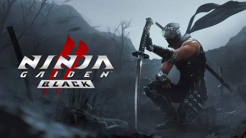 recenze - Ninja Gaiden 2 Black