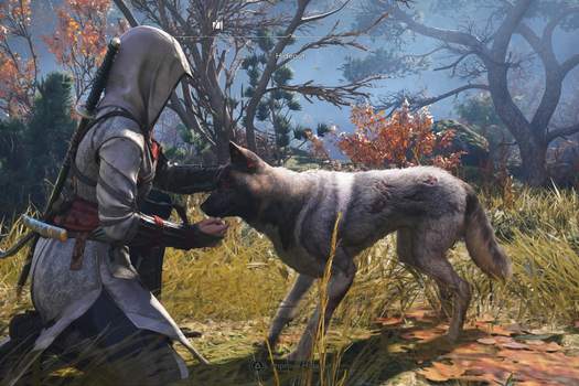 Hra Assassin's Creed Shadows sbírá převážně vysoká hodnocení