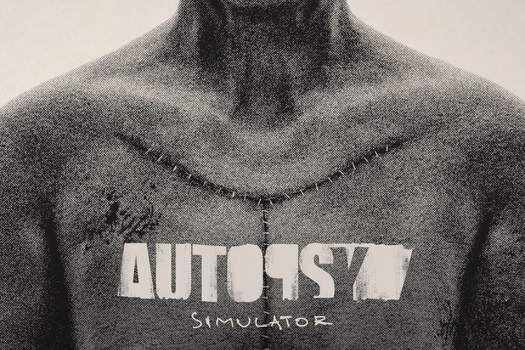 Začátkem dubna vyjde pro konzole hororová hra Autopsy Simulator