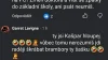 Obrázek v komentáři