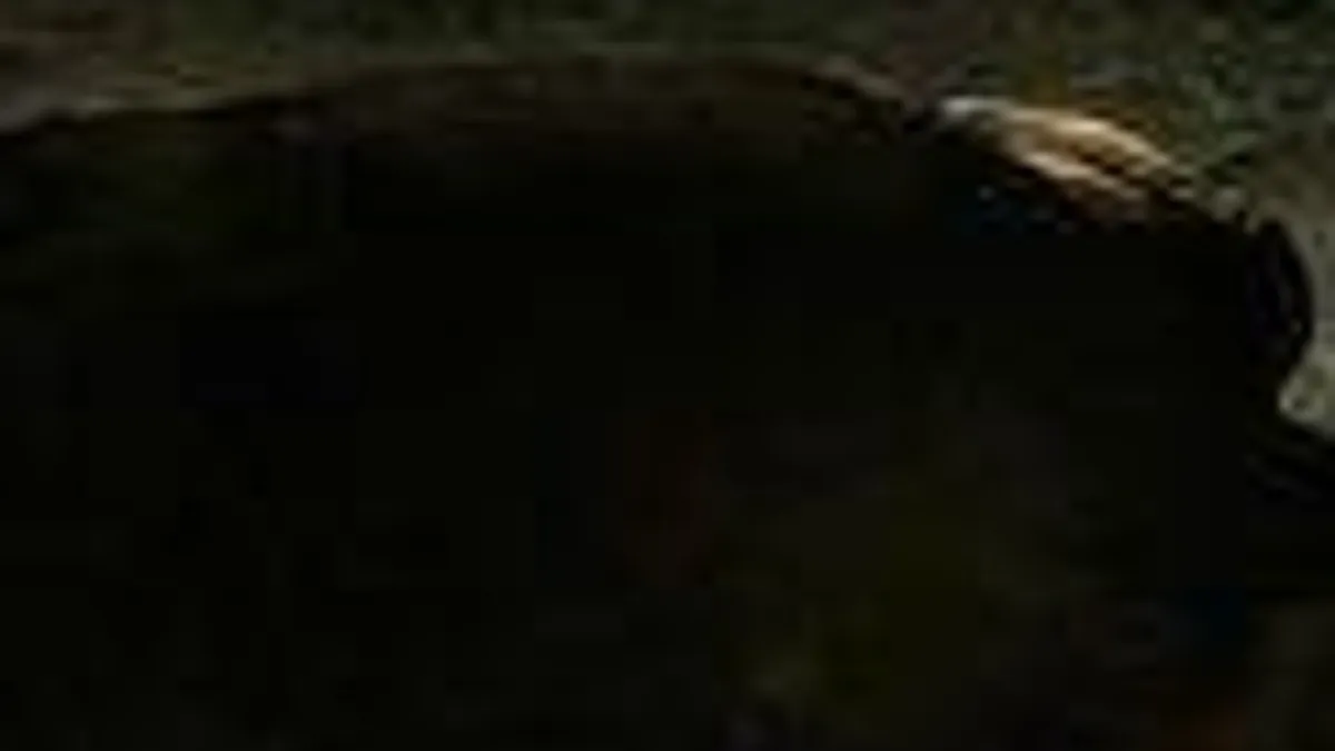 Hlavní obrázek článku: Murdered: Soul Suspect vyjde začátkem příštího roku