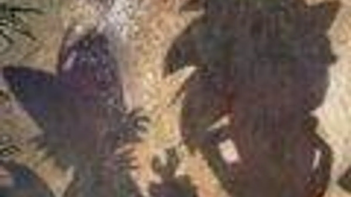 Hlavní obrázek článku: Dnes by měl být oznámen nový Sonic