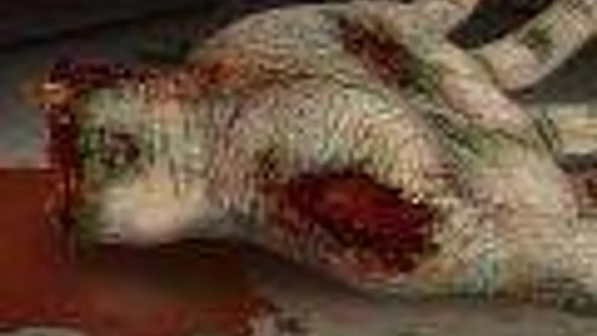 Hlavní obrázek článku: Spekulace: Odhalen březnový obsah PlayStation Plus