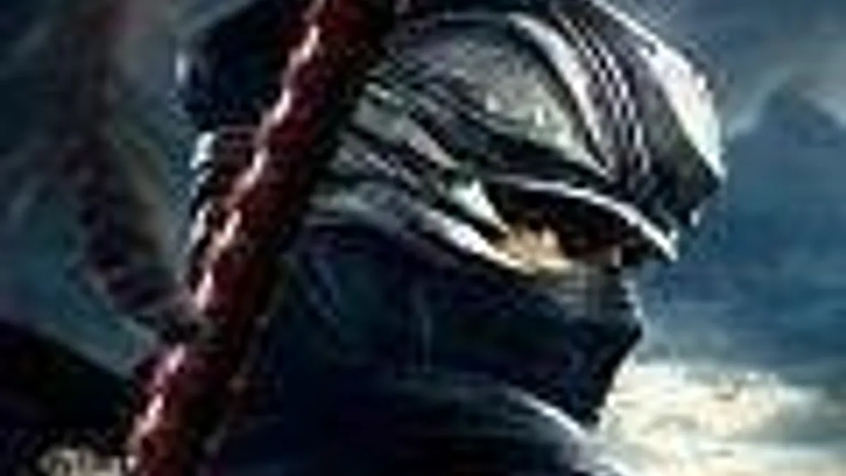 Hlavní obrázek článku: Tecmo: Ninja Gaiden 3 bude velkolepý