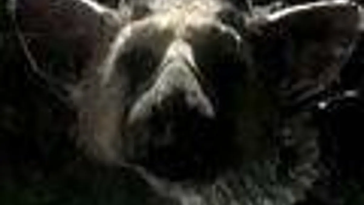 Hlavní obrázek článku: Sony: Last Guardian na TGS nebude, nepanikařte