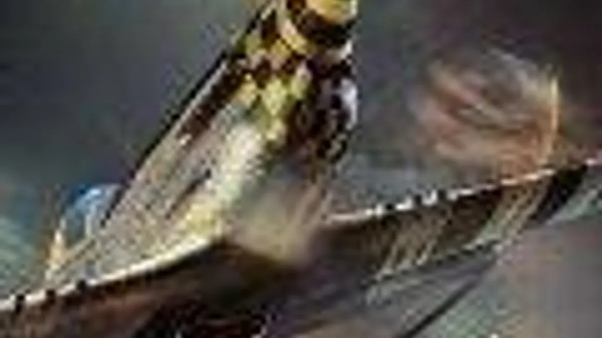 Hlavní obrázek článku: War Thunder dostane na PS4 češtinu