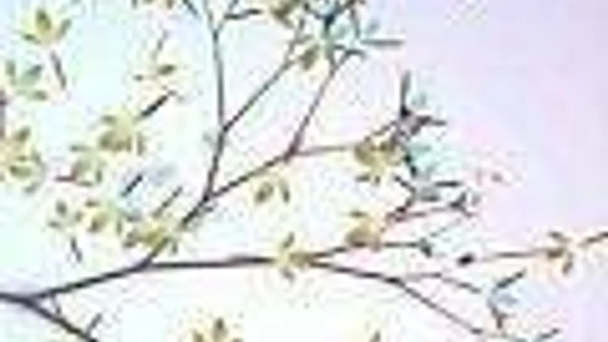 Hlavní obrázek článku: Eufloria míří na PSN