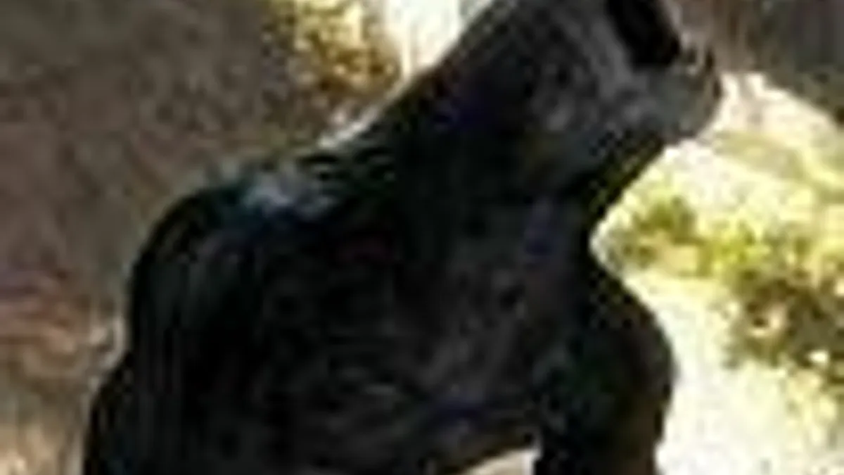 Hlavní obrázek článku: Risen má datum vydání