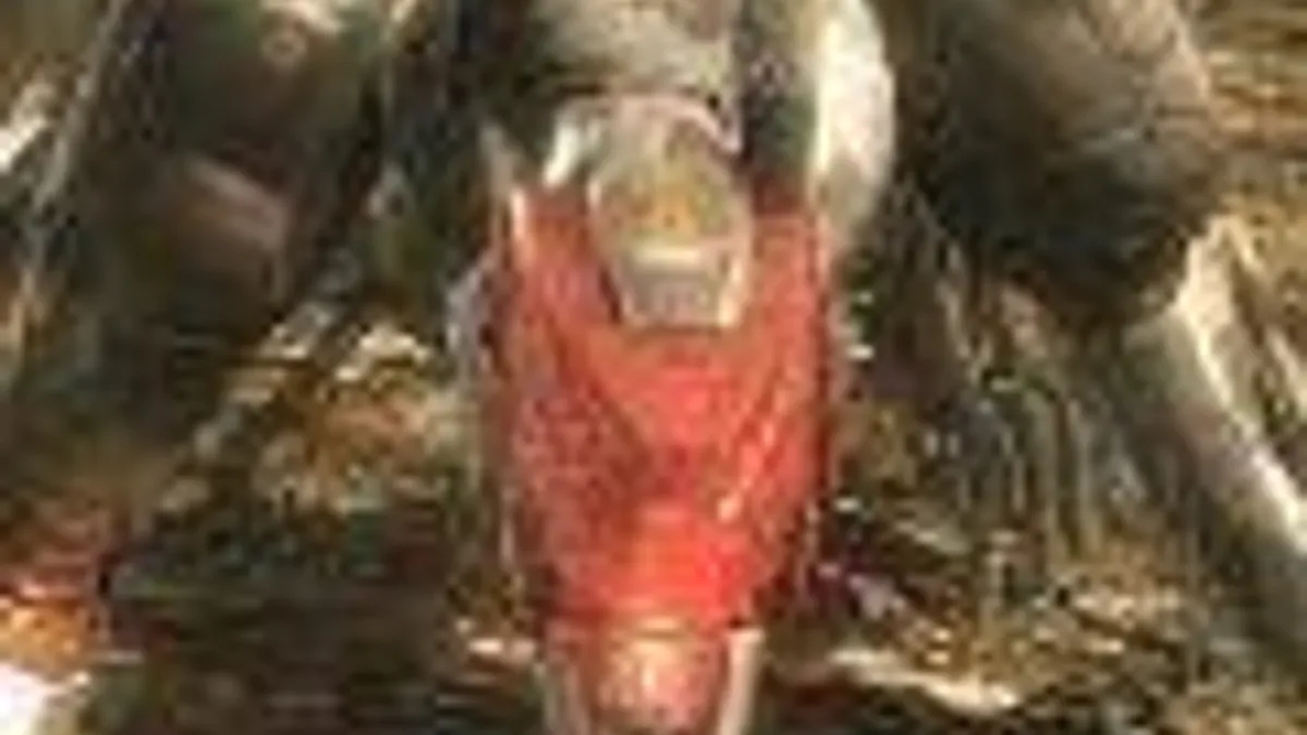 Hlavní obrázek článku: Metal Gear Rising - Blade Wolf DLC trailer