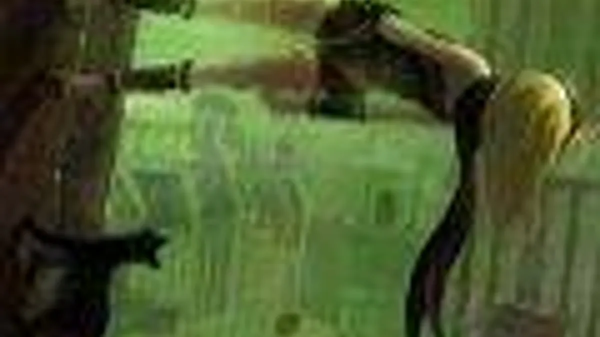 Hlavní obrázek článku: Vývojáři by chtěli pokračování Gravity Rush