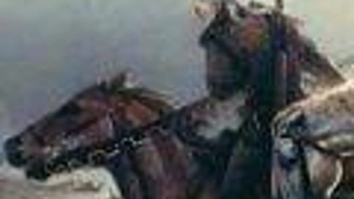 Hlavní obrázek článku: Tisková zpráva o hře Zaklínač 3: Divoký hon s několika informacemi