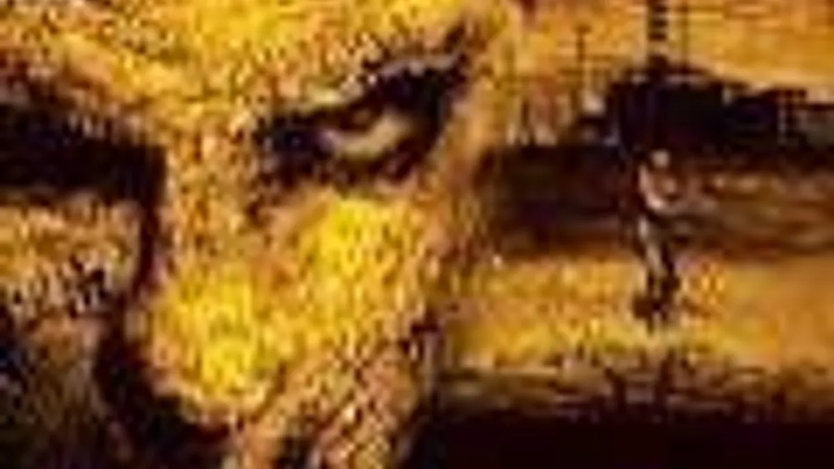 Hlavní obrázek článku: S.T.A.L.K.E.R. 2 oficiálně