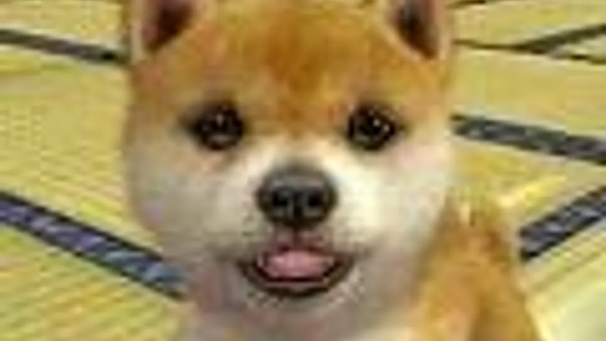 Hlavní obrázek článku: Demoverze na nintendogs + cats ve čtvrtek