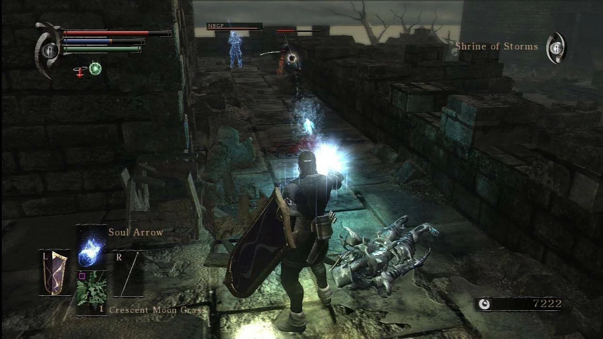 Demons Souls odhalen