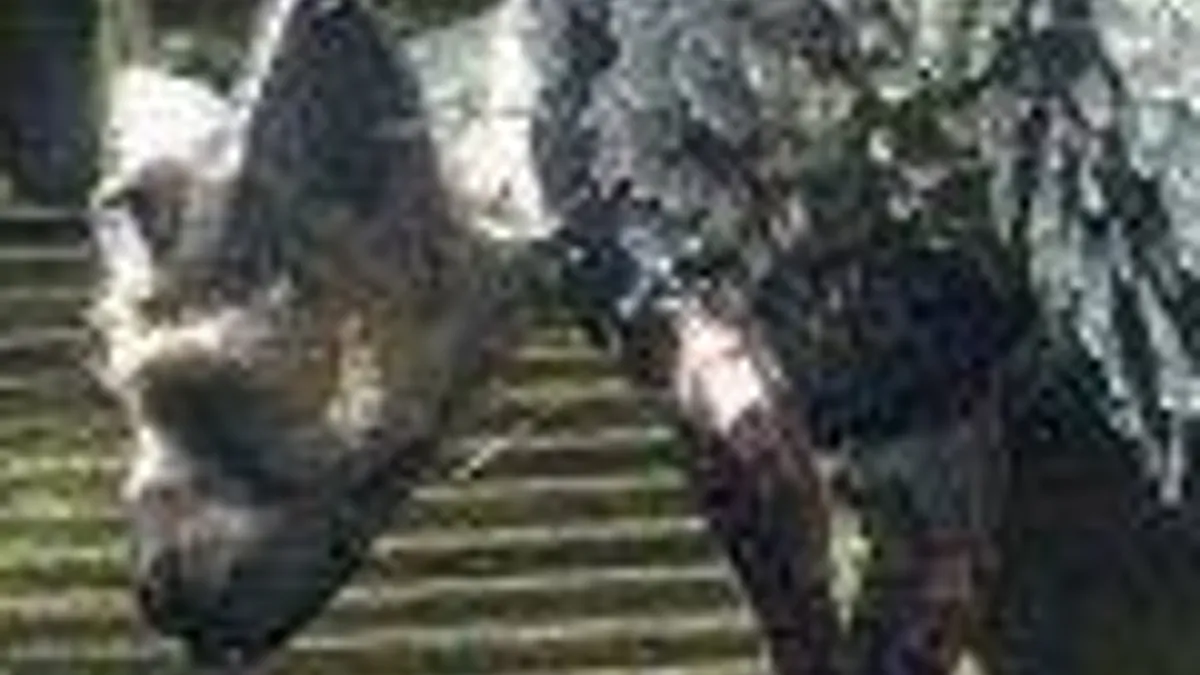 Hlavní obrázek článku: Sony opustila ochrannou známku na The Last Guardian