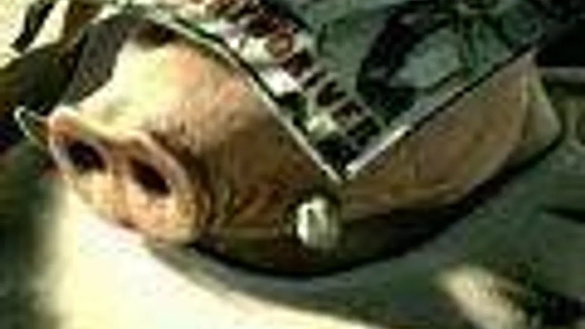 Hlavní obrázek článku: Beyond Good & Evil 2 a nových záběrech