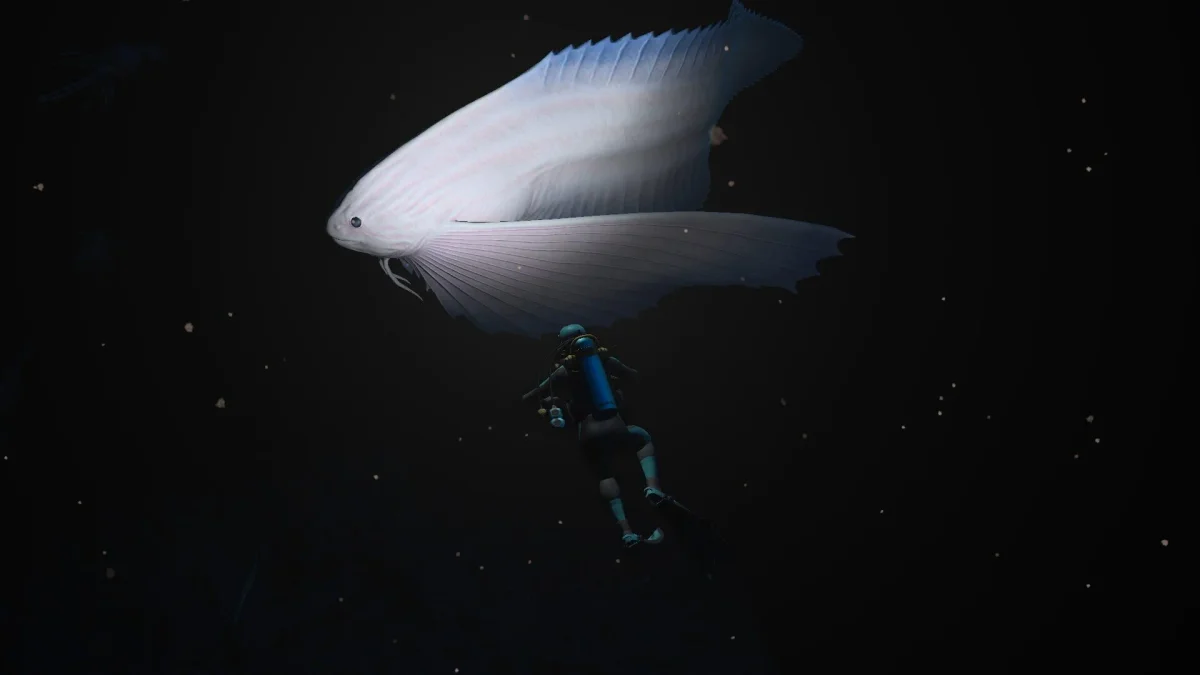 Nový trailer na Endless Ocean Luminous vysvětluje herní mechaniky