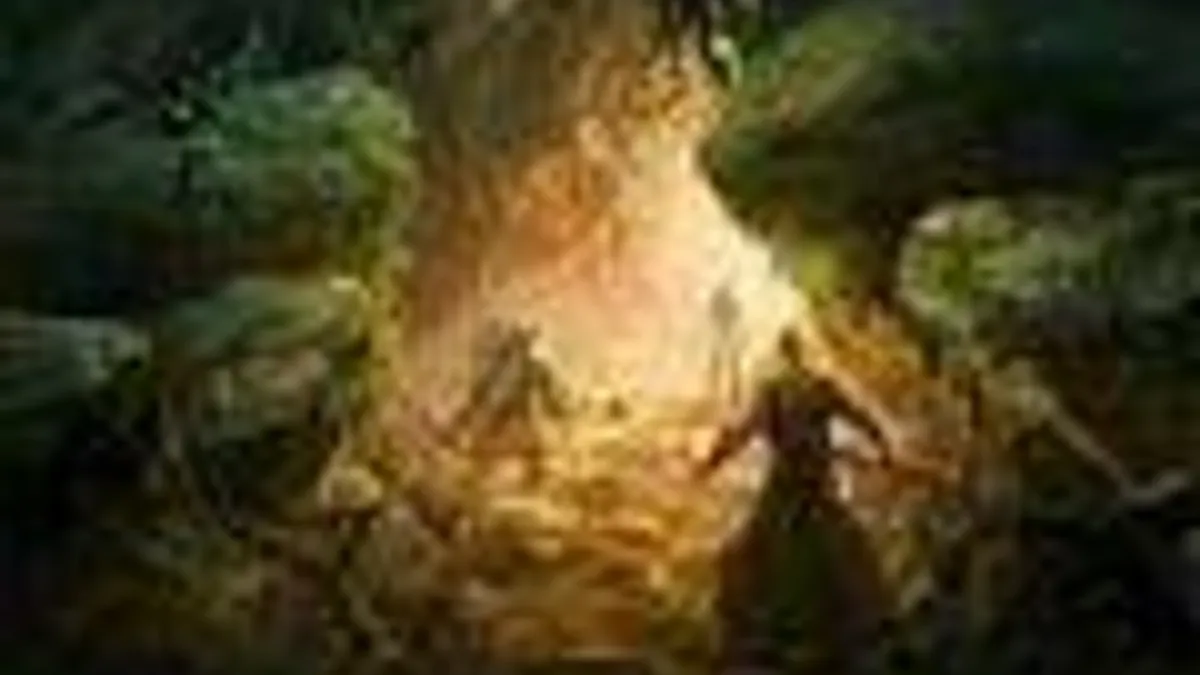 Hlavní obrázek článku: The Lord of the Rings: War in the North