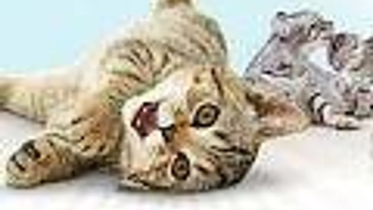 Hlavní obrázek článku: UbiSoft oznamuje Petz pro PSP