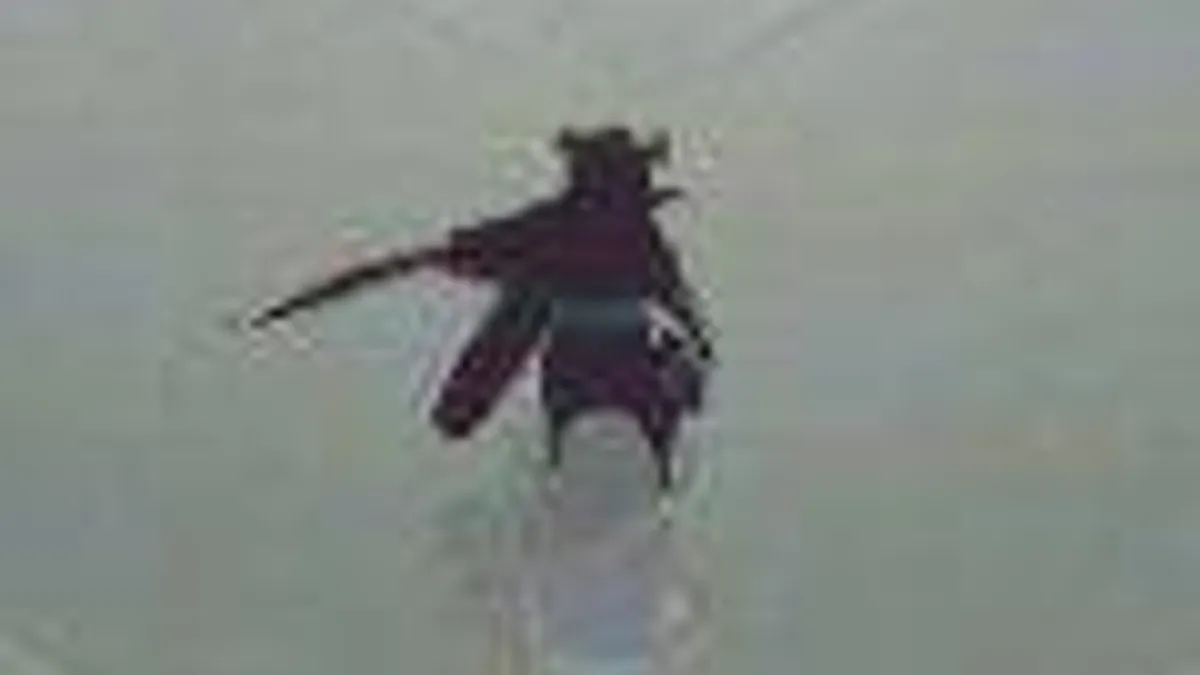 Hlavní obrázek článku: Below – GamesCom trailer