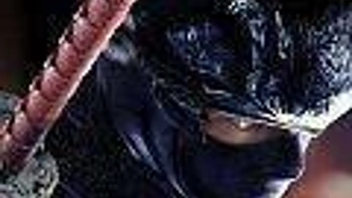 Hlavní obrázek článku: Ninja Gaiden 3 má nový trailer