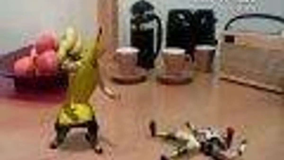 Hlavní obrázek článku: Sony představila novou značku Reality Fighters