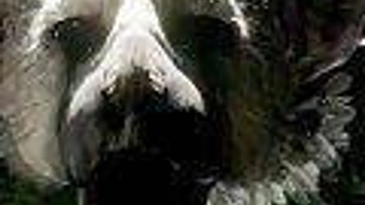 Hlavní obrázek článku: Hry ICO/Shadow of the Colossus Collection a The Last Guardian odloženy