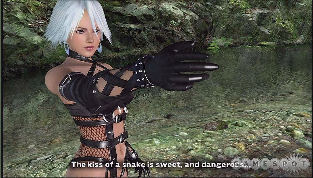 Dead or Alive 4