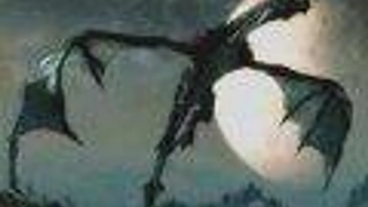 Hlavní obrázek článku: Další DLC do The Elder Scrolls V: Skyrim ponese název Dragonborn