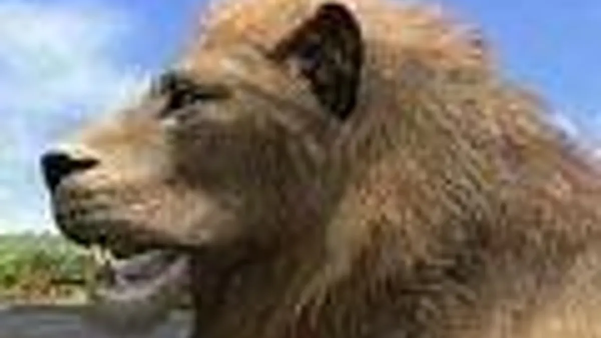 Hlavní obrázek článku: Konečně se podíváme do Afriky