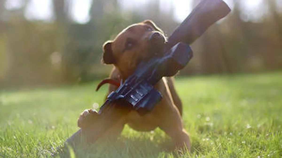 Hlavní obrázek článku: Nový hraný trailer na Far Cry 5