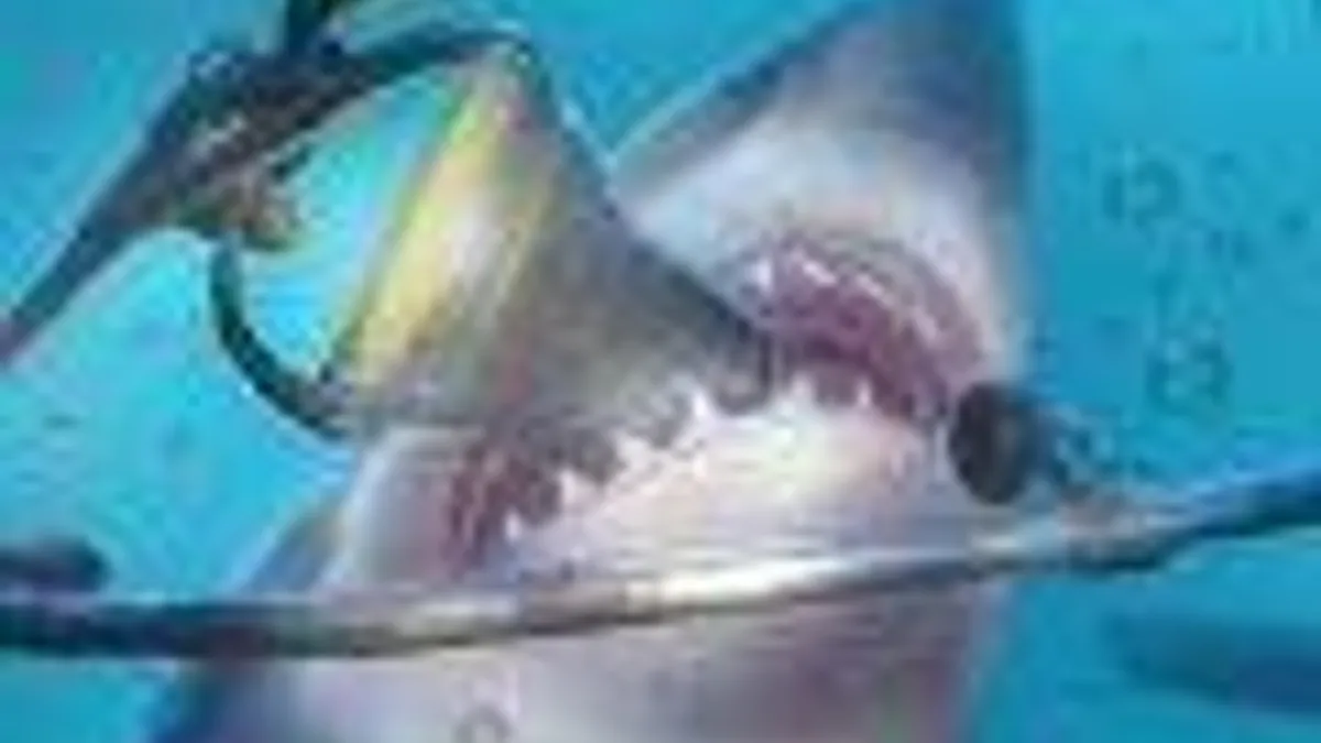 Hlavní obrázek článku: Artworky z Project Morpheus her The Deep a Street Ludge