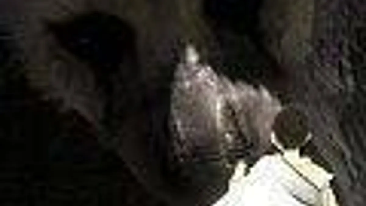 Hlavní obrázek článku: Yoshida: Vývoj The Last Guardian jde pomalu