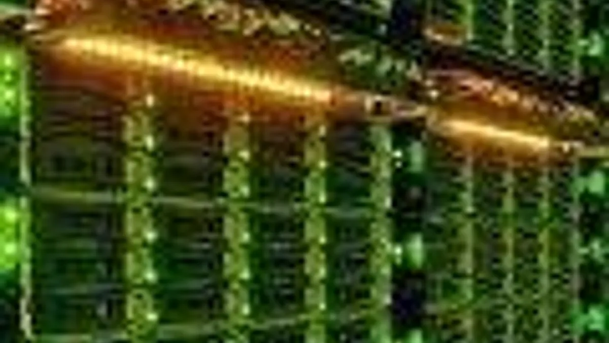 Hlavní obrázek článku: Xbox One – video o multiplayeru