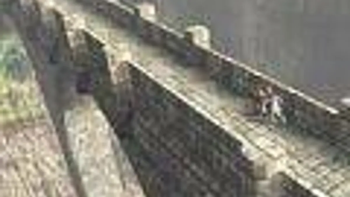 Hlavní obrázek článku: Jaké bonusy nabídne ICO & Shadow of the Colossus Collection?