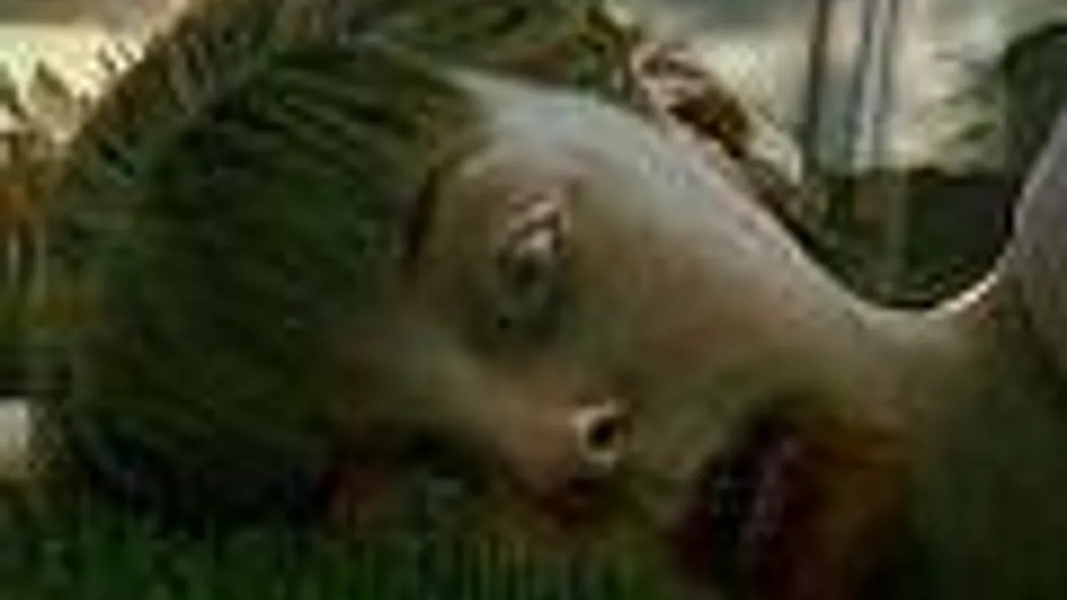 Hlavní obrázek článku: Připravuje se Dead World?