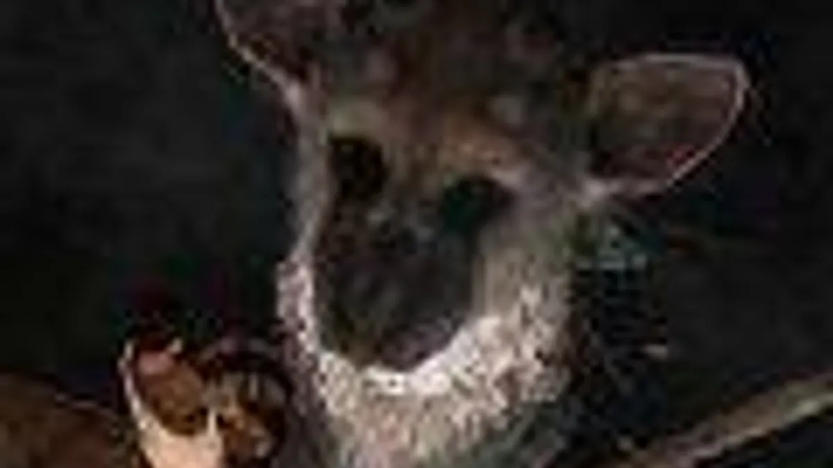 Hlavní obrázek článku: The Last Guardian je zřejmě ve vývoji pro PS4