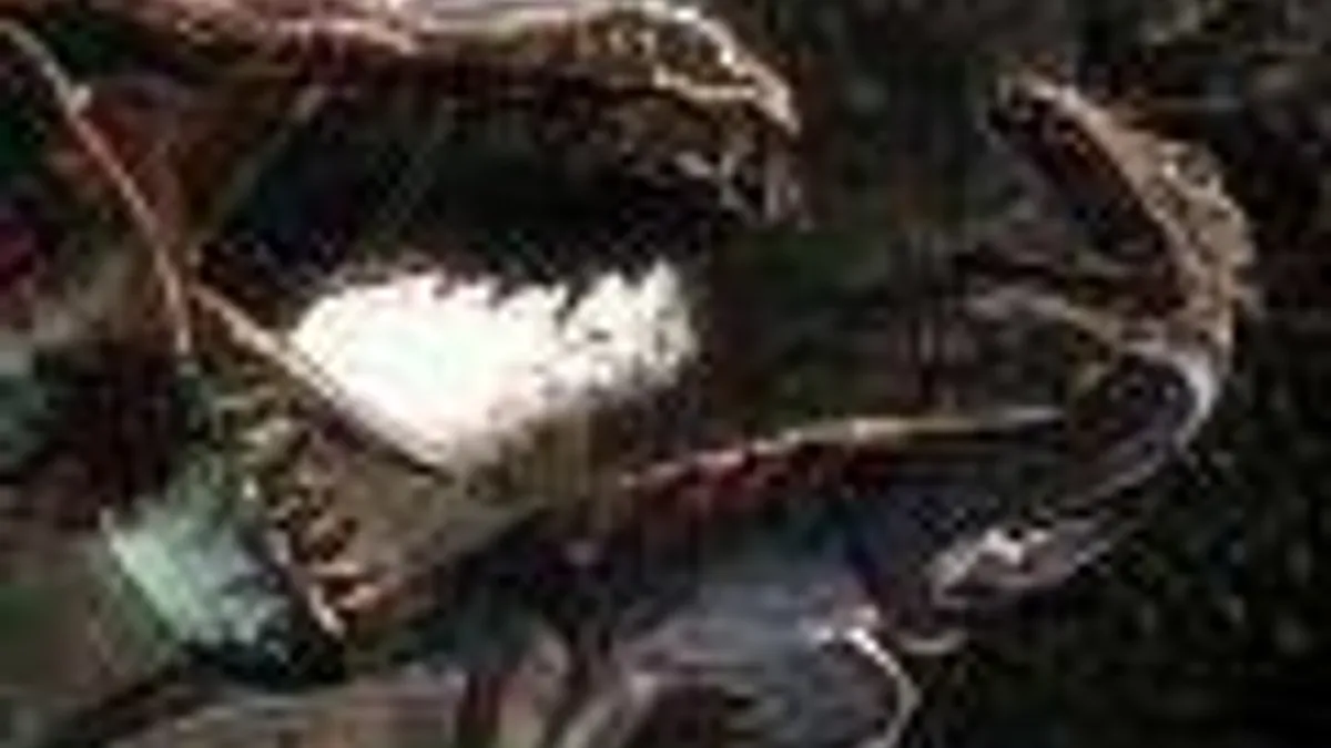 Hlavní obrázek článku: Turok