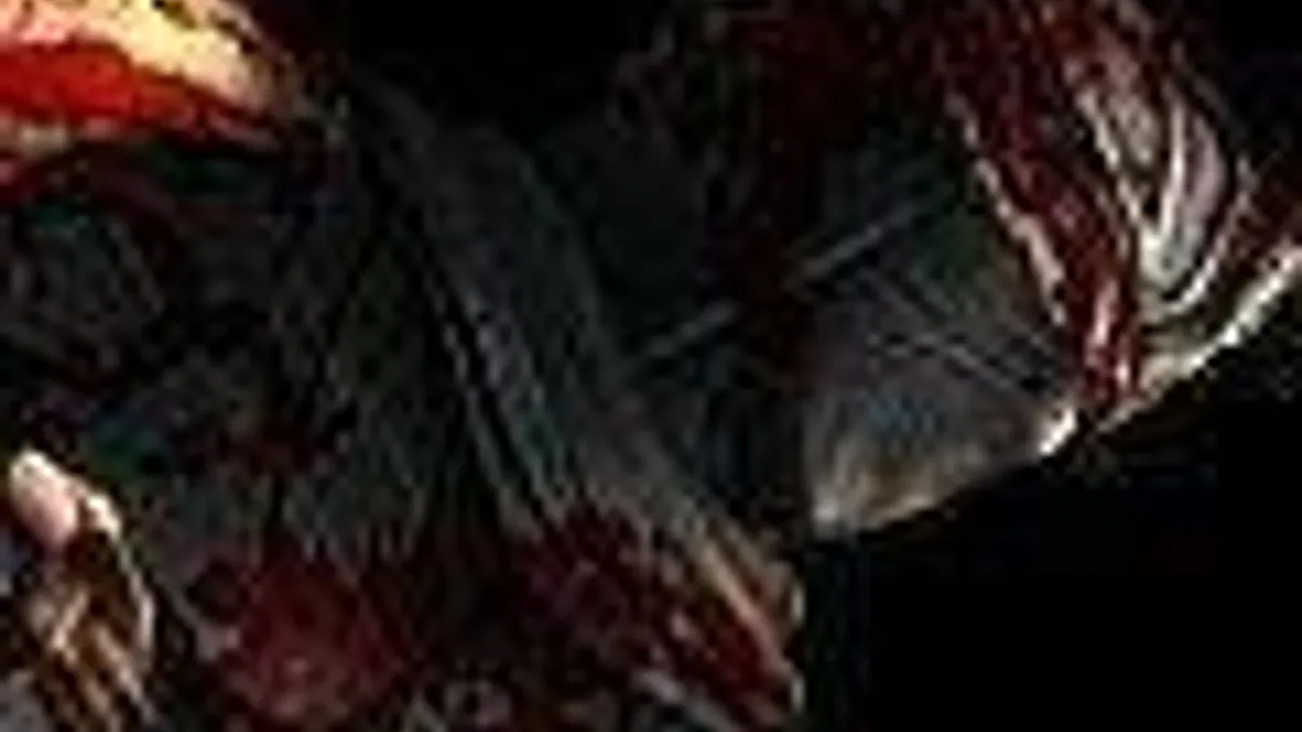 Hlavní obrázek článku: E3 obrázky z her - DMC, Ninja Gaiden 3, Gotham City Imposters a další