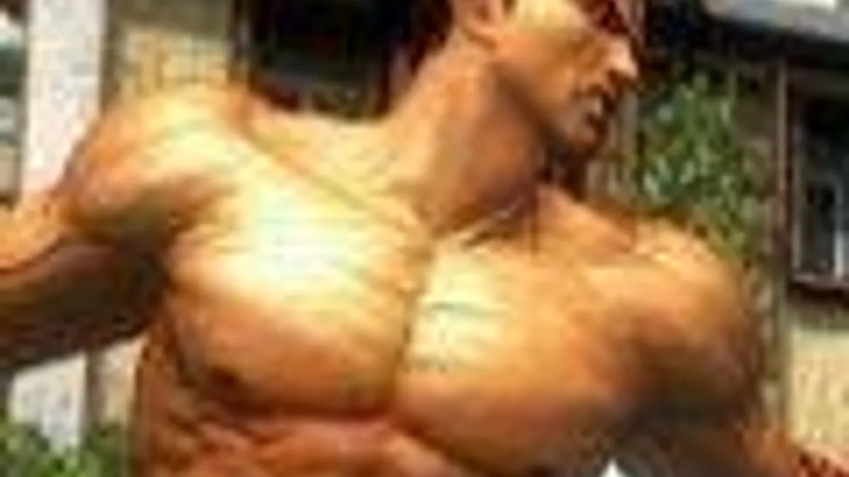 Hlavní obrázek článku: Harada: Druhý displej Wii U je u bojovek rušivý