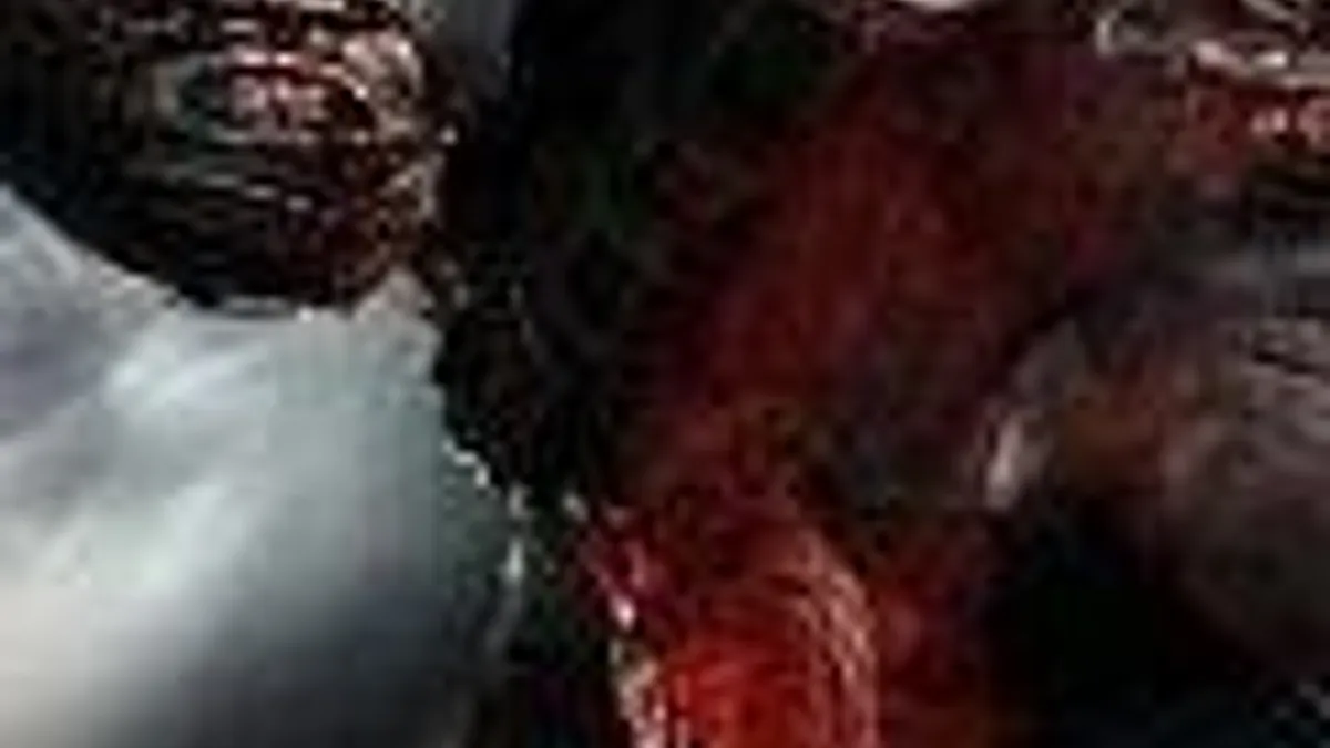 Hlavní obrázek článku: Ninja Gaiden 3 dostal TGS trailer