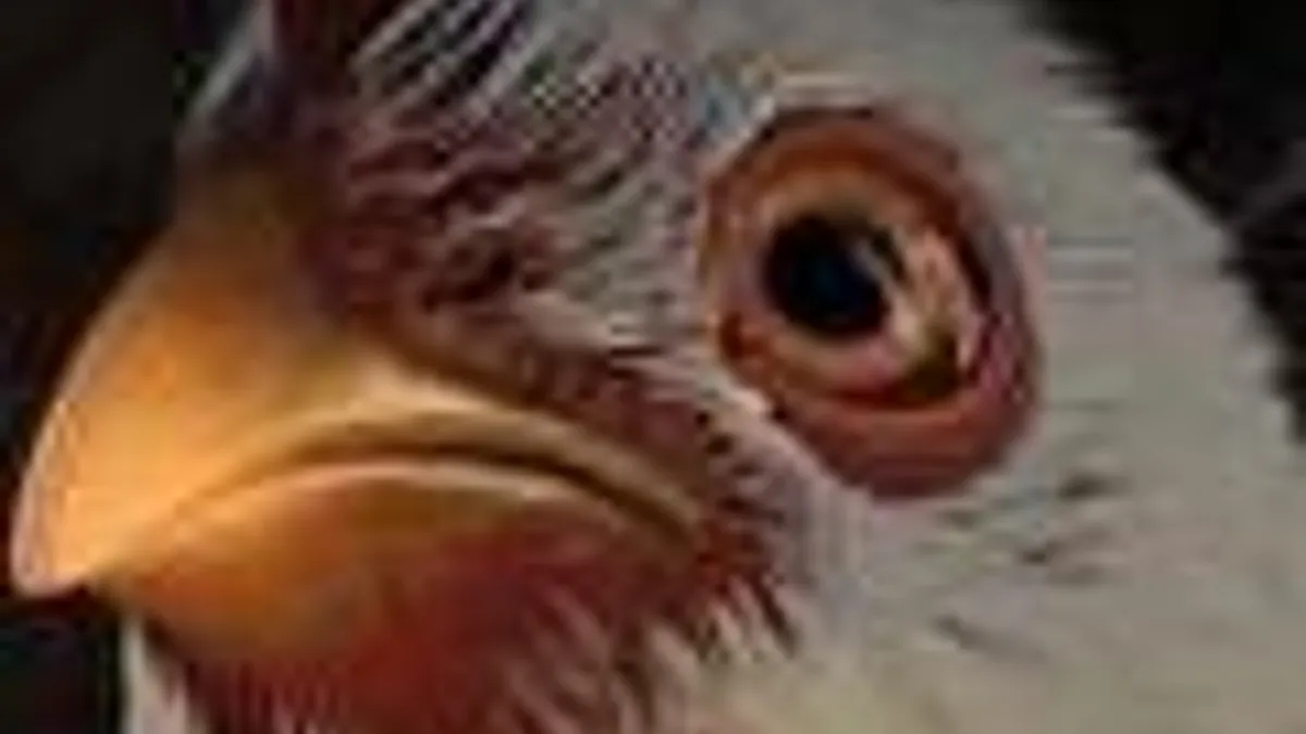 Hlavní obrázek článku: Fable 3 – úvodní filmeček