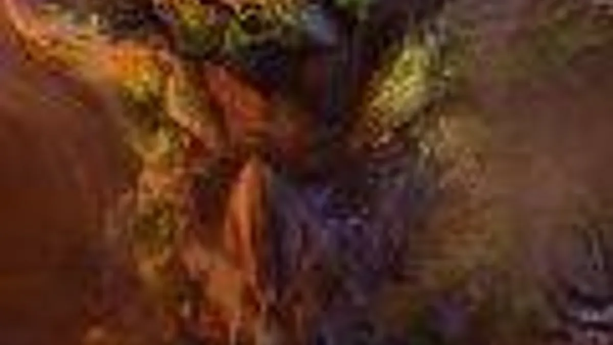 Hlavní obrázek článku: Intro a trailer na Monster Hunter 3 Ultimate