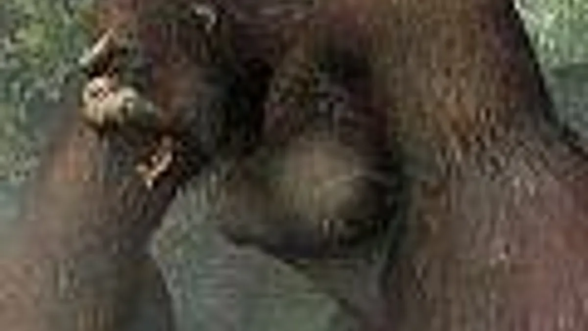 Hlavní obrázek článku: King Kong: Official Game of the Movie 