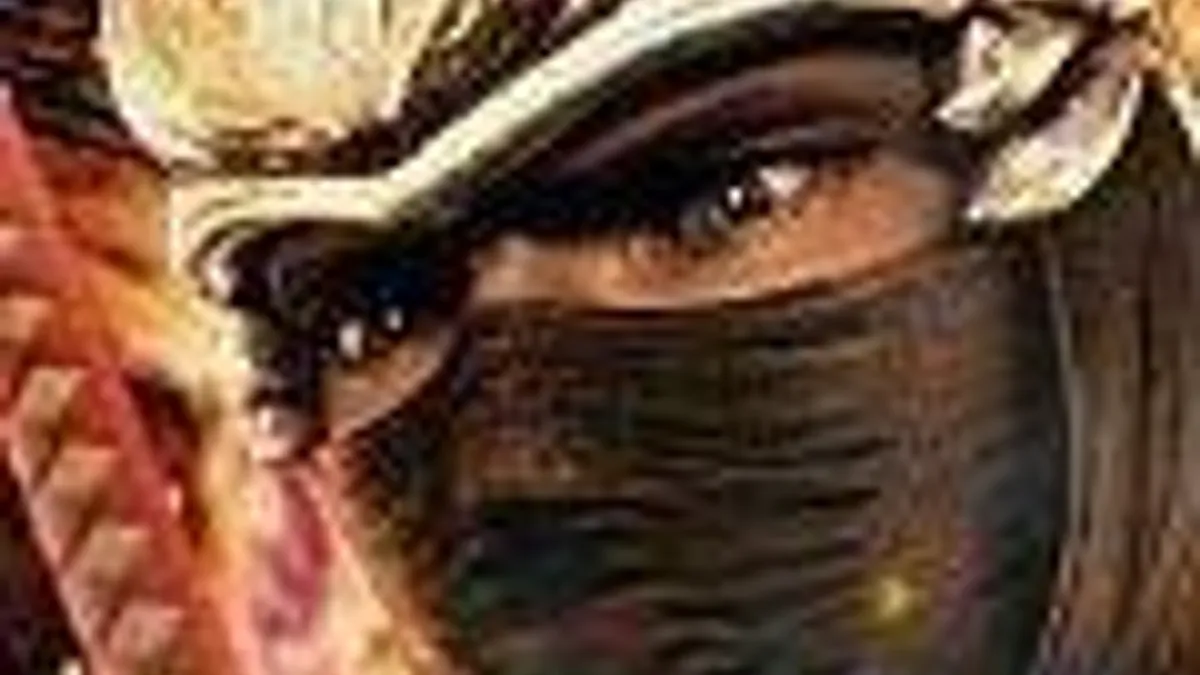 Hlavní obrázek článku: Team Ninja chce udělat Ninja Gaiden 3 i na Vitu