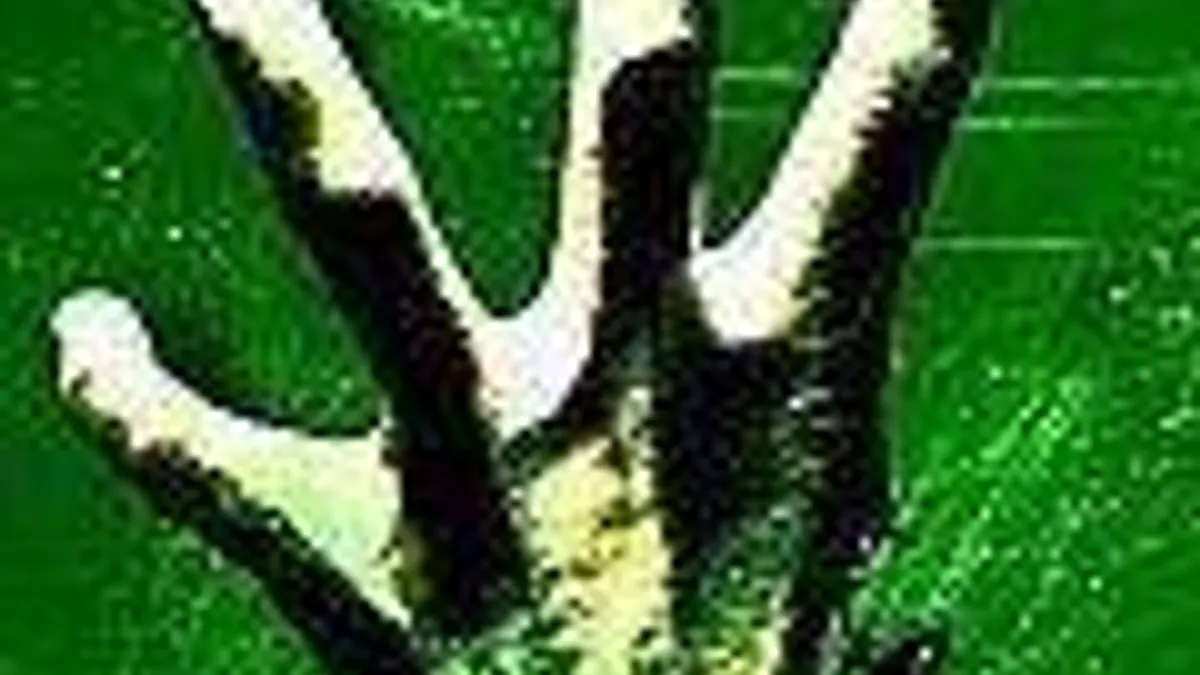 Hlavní obrázek článku: THQ vydá další hru od Turtle Rock