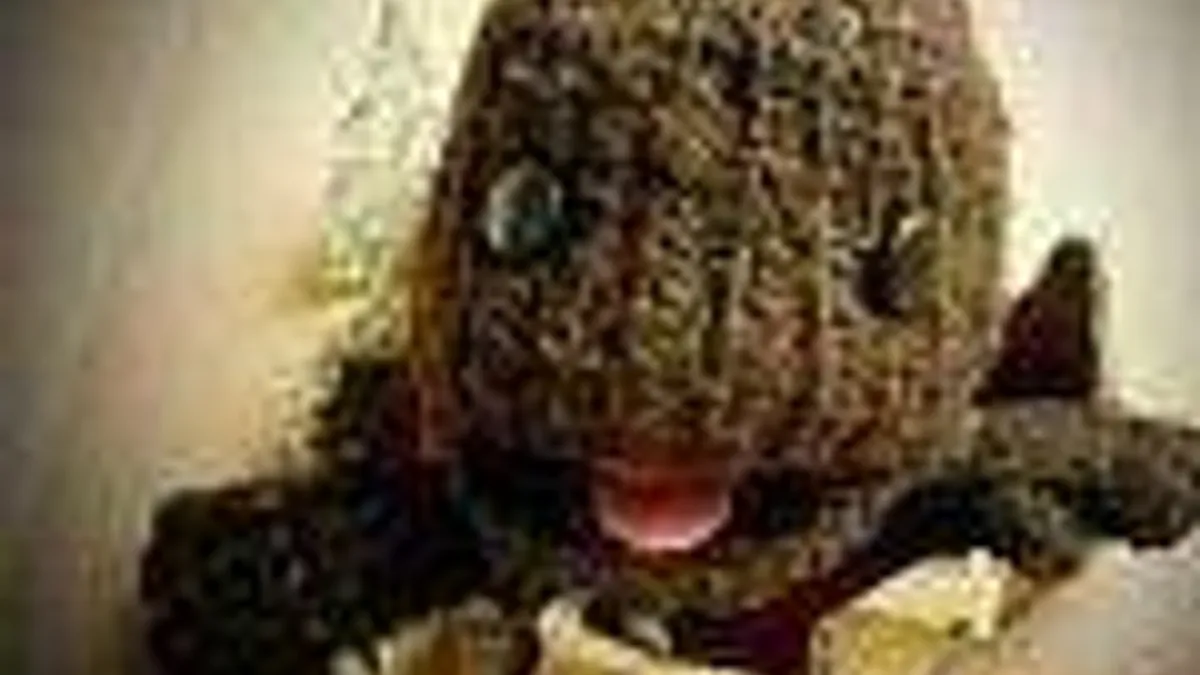 Hlavní obrázek článku: LittleBigPlanet 2 má první recenzi – 10/10