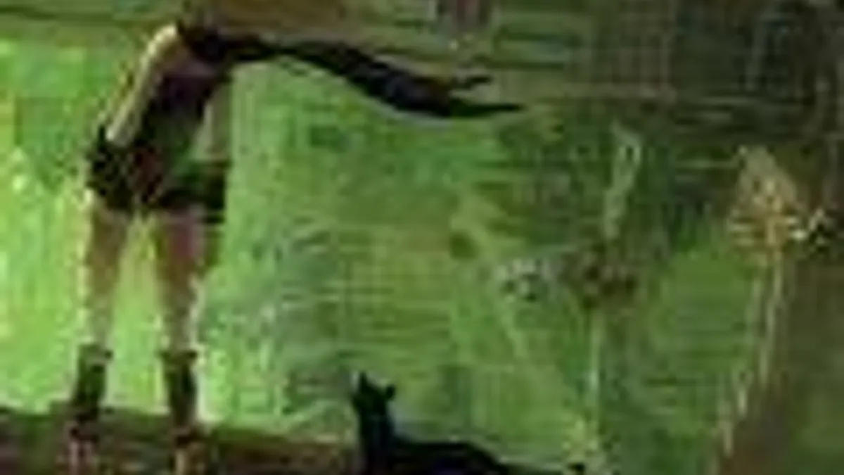 Hlavní obrázek článku: Uncharted: Golden Abyss a Gravity Rush pro PS+ zdarma až do léta