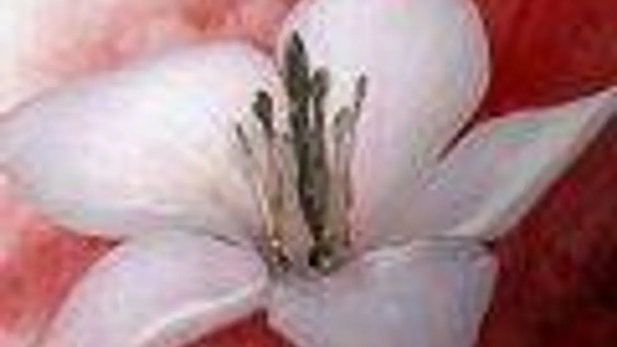 Hlavní obrázek článku: Square Enix oznámil pro Evropu sběratelskou edici hry Drakengard 3